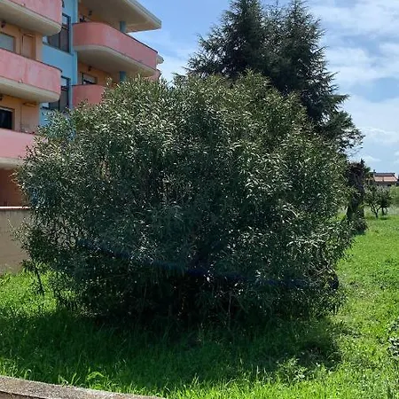 Frühstückspension La Rosa